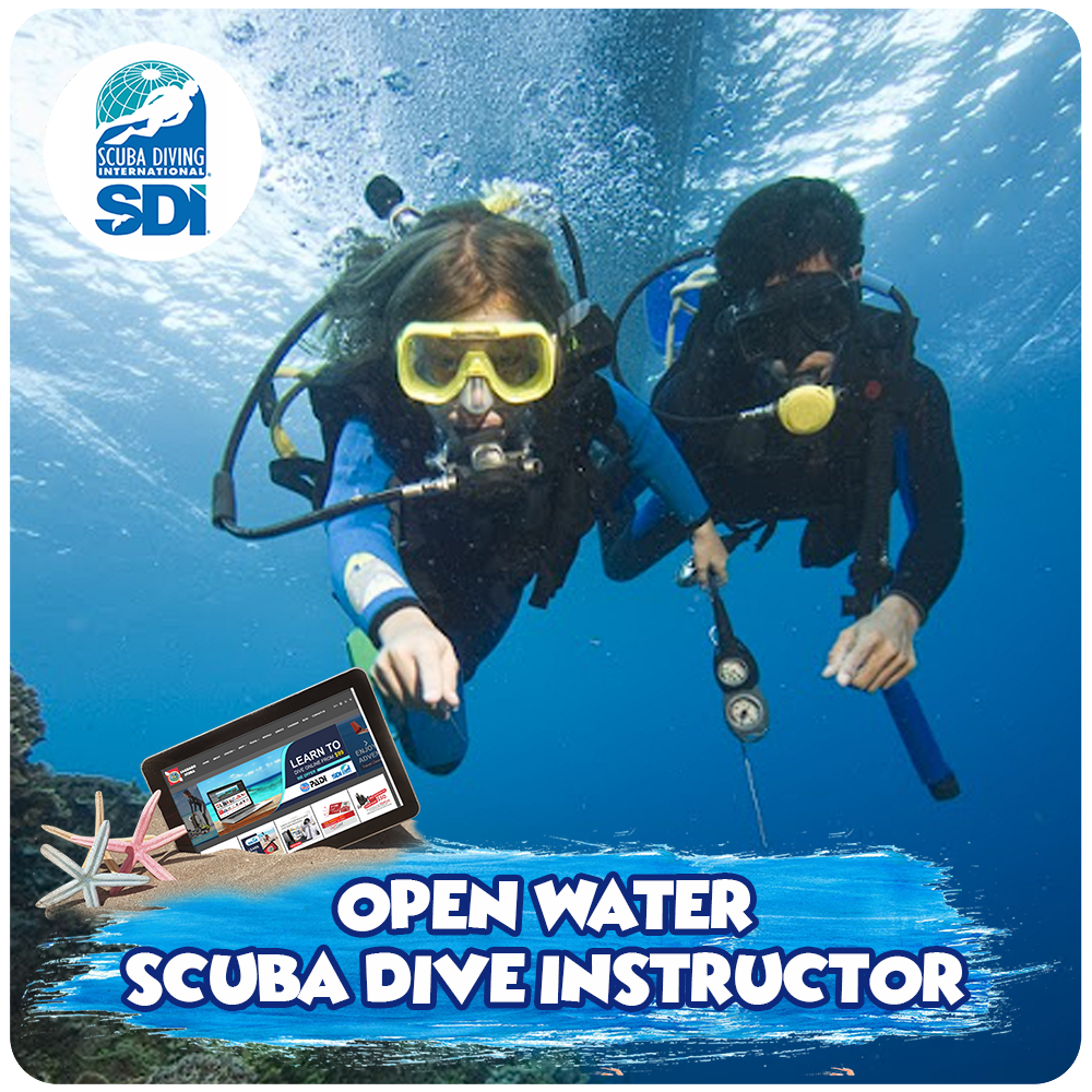 Open Water Scuba Dive Instructor