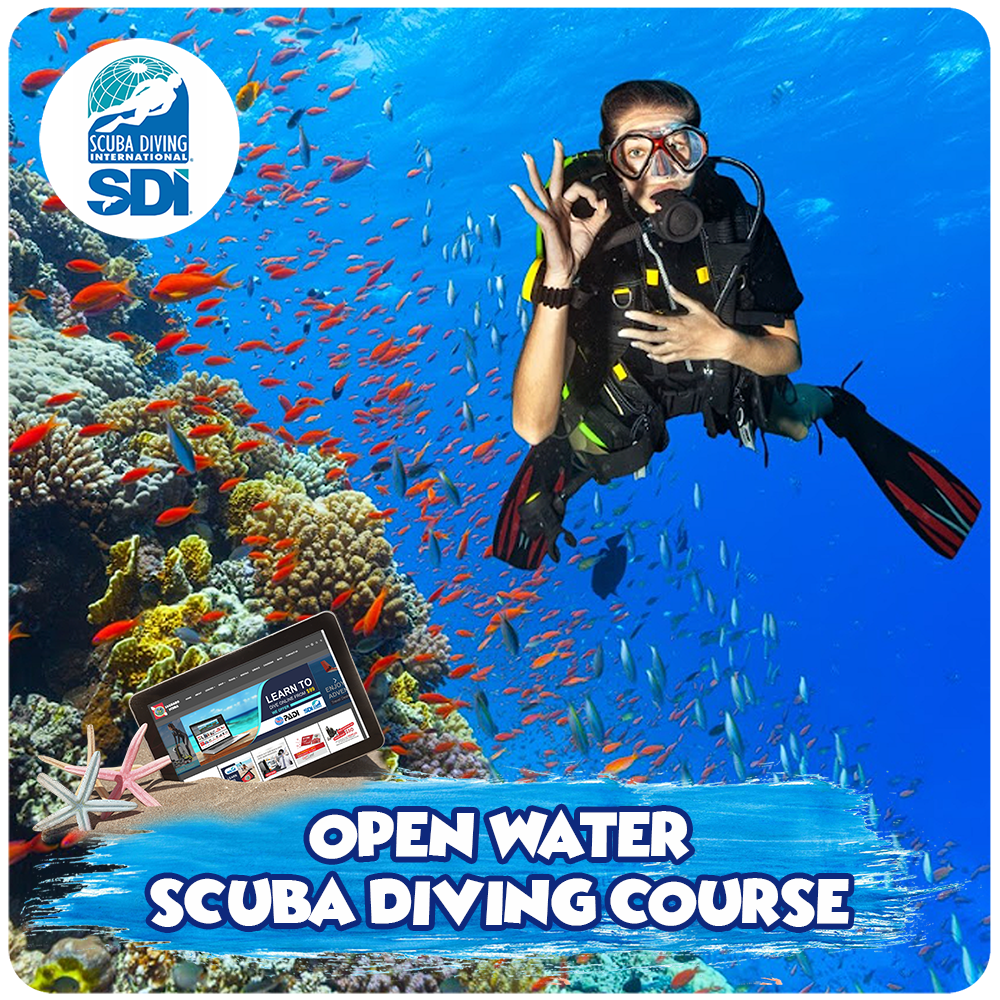 Open Water Scuba Diving Course Learn to Dive at Saguaro Scuba in Mesa, AZ. SDI Open Water Diving Course