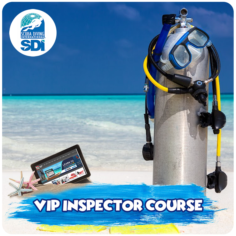 VIP Inspector Course