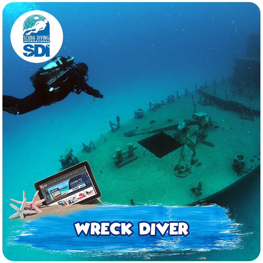 Wreck Diver