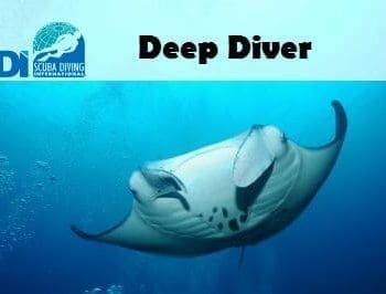 SDI DEEP DIVER COMPLETE CERTIFICATION COURSE