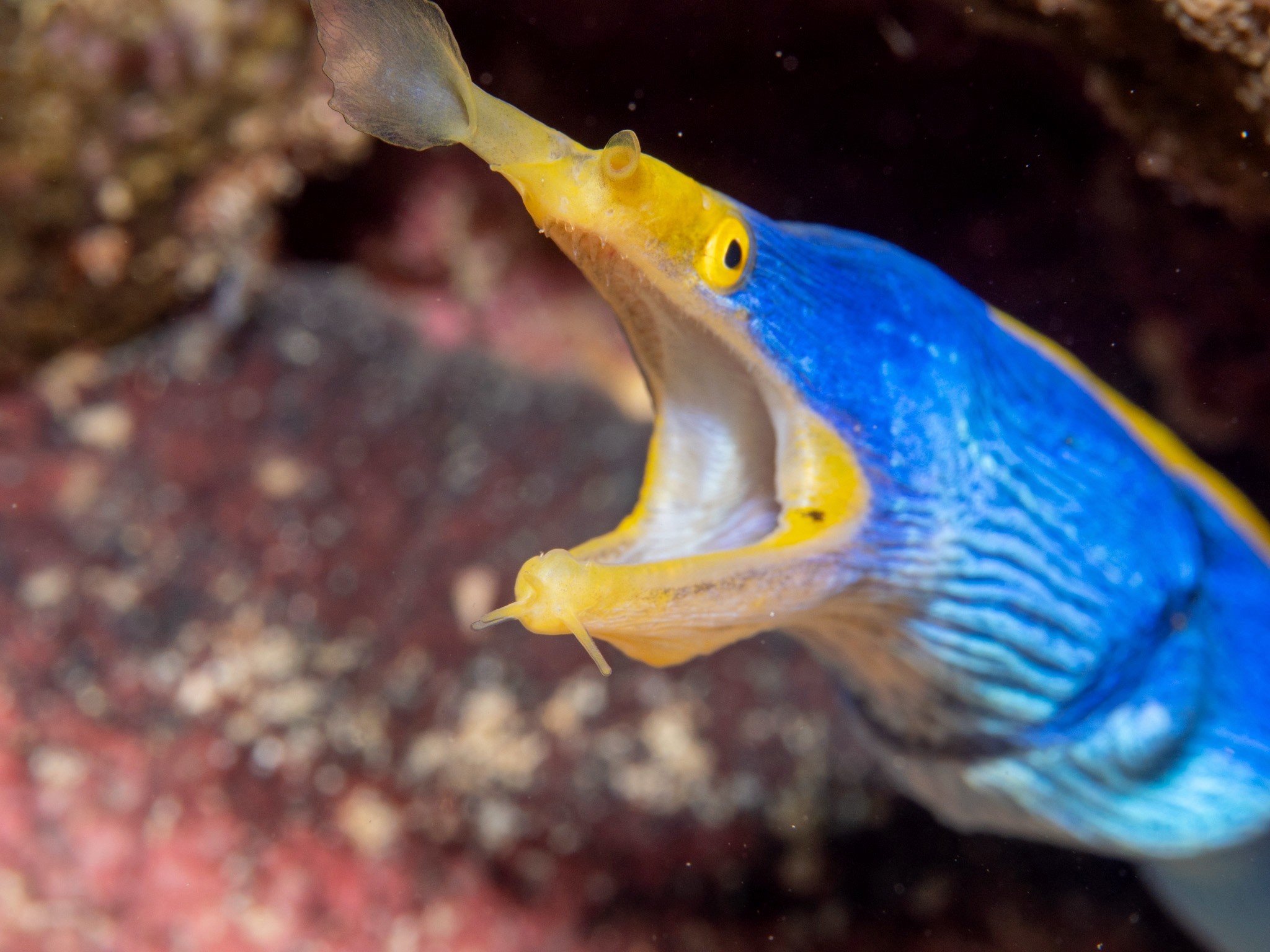 Fiji Beqa Lagoon Resort Group Trip