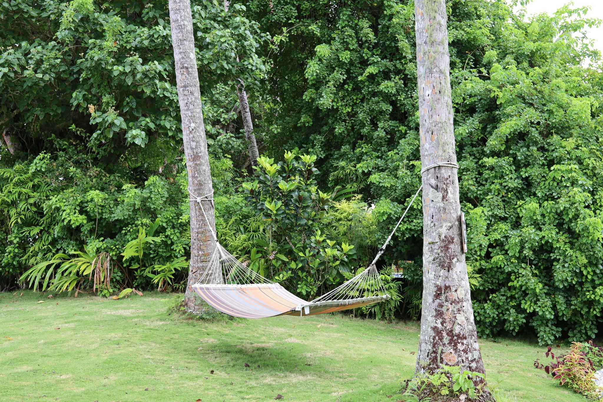 Fiji Beqa Lagoon Resort Group Trip